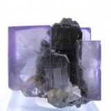 Fluorite, ferberite, arsenopyrite, mica
Yaogangxian Mine, Yaogangxian W-Sn ore field, Yizhang Co., Chenzhou Prefecture, Hunan Province, China
37 mm x 37 mm

Pay attention to how the ferberite crystal is included in the fluorite. (Author: Carles Millan)