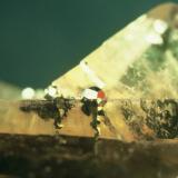 Pyrite/fluorite simultaneous growth
Suever Quarry, Delphos, Ohio, USA
fluorite 1 cm on edge (Author: John Medici)