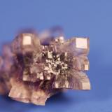 Fluorite (tetrahex/cube exaggerated I think)
Auglaize Quarry, Junction, Ohio, USA
1.3 cm across (Author: John Medici)