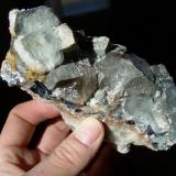 Fluorite and Galena
Blanchard Claims, Bingham, Socorro County, New Mexico, USA
14 cm across (Author: strahler)