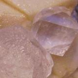 Fluorita, calcita, galena
Naica, Mun. de Saucillo, Chihuahua, Méjico
6,5 x 4 cm
Detalle de los cristales de fluorita (Autor: Antonio Alcaide)