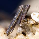 Rutilo
Macael, Almería, Andalucía, España
Cristales de 2,5 mm (Autor: MMorales)