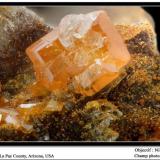 Wulfenite
North Geronimo claim, La Paz County, Arizona, USA
fov: 15 mm (Author: ploum)