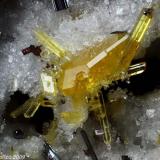Fluoro-edenite
Mt Calvario, Biancavilla, Etna Volcanic Complex, Catania Province, Sicily, Italy
1.4 mm group of yellow Fluoro-edenite crystals (Author: Matteo_Chinellato)