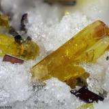 Fluoro-edenite
Mt Calvario, Biancavilla, Etna Volcanic Complex, Catania Province, Sicily, Italy
1.06 mm yellow Fluoro-edenite crystal with Pseudobrookite (Author: Matteo_Chinellato)