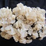 Cerussite
Komshejeh Mine (Komshecheh Mine), Komshejeh (Komshecheh), Ardestan County, Esfahan Province (Isfahan Province; Aspadana Province), Iran
12 cm (Author: h.abbasi)