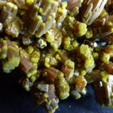 Piromorfita
Mina Les Farges, Ussel, Corréze, Francia

Detalle (Autor: javier ruiz martin)