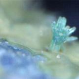 Libethenita
Cantera Asland, Turó de Montcada, Montcada i Reixac, Barcelona, Cataluña
7x5x5 cm. Aumentado a 400X
El mineral a simple vista presenta una pátina de color verde oliva (libethenita) salpicada con unos puntitos de verde más intenso (pseudomalaquita) (Autor: Marvic)