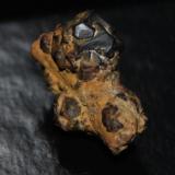 Goethita pseudomórfica de Pirita
Girona, Catalunya, España.
Medidas pieza: 2,9x2x1,4 cm
Crecimiento de cristales sobre rastro fósil (Autor: Sergio Pequeño)