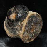 Goethita pseudomórfica de Pirita
Girona, Catalunya, España.
Medidas pieza: 1,7x1,3x1,3 cm
Crecimiento de cristales sobre rastro fósil (Autor: Sergio Pequeño)