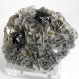 Cassiterite
Mt Xuebaoding, Pingwu County, Mianyang Prefecture, Sichuan Province, China.
12 x 11 x 4cm; 652 grams
The attached specimen of Cassiterite with Muscovite contains two highly lustrous and complex crystals of cassiterite approximately 3 x 2cm each. (Author: Louis Friend)