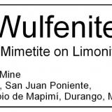 LF_WULFENITE_OMX_LABEL.jpg (Author: Louis Friend)