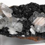 Cerussite with Baryte on hematite/limonite
ACF mine area, Mibladen, Midelt, Khenifra Province, Meknes-Tafilalet Region, Morocco.
8 x 5 x 4 cm; 292 gram (Author: Louis Friend)