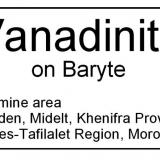 LF_VANADINITE_BARYTE_MC_LABEL.jpg (Author: Louis Friend)