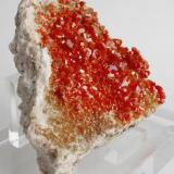 Vanadinite on Baryte
ACF mine area, Mibladen, Midelt, Khenifra Province, Meknes-Tafilalet Region, Morocco.
12 x 11 x 4 cm; 730 gram (Author: Louis Friend)