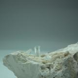 Celestina.
Torà de Riubregos, Ivorra, La Segarra, Lleida, Cataluña, España.
Detalle
Pieza de 7 x 4 cm.(intercambio con Rodrigo Fariña). (Autor: Carlos Viñolo)