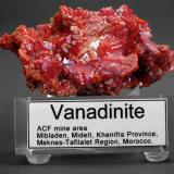 Vanadinite
ACF mine area, Mibladen, Midelt, Khenifra Province, Meknes-Tafilalet Region, Morocco.
10 x 5 x 4 cm; 182 gram
BIG VANADINITE WITH NEW LABEL MARK 1, CLEAR VERSION MARK 2 SOON! (Author: Louis Friend)