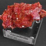 Vanadinite
ACF mine area, Mibladen, Midelt, Khenifra Province, Meknes-Tafilalet Region, Morocco.
10 x 5 x 4 cm; 182 gram
BIG VANADINITE (Author: Louis Friend)