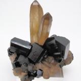 Schorl, quartz
Erongo Mountain, Erongo Region, Namibia
76 mm x 65 mm (Author: Carles Millan)