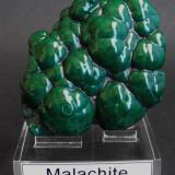 Malachite
Mashamba West mine, Kolwezi District, Katanga Copper Crescent, Katanga, Democratic Republic of Congo, Africa.
9 x 8 x 3 cm; 290 gram (Author: Louis Friend)