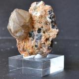 Cerusita
Mina ACF - Mibladen - Marruecos
4x4 cm Cristal 2’5x2 cm (Autor: Jose Muñoz)