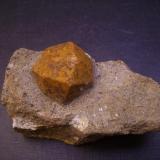 Feldespato potásico pseudomórfico tras leucita
Loucna, Ostrov, Krušné Hory Mts (Erzgebirge), Karlovy Vary Region, Bohemia, República Checa
8 x 4 x 3,5
Cristal de 2,8 cm. sobre matriz. Curiosamente un bonito trapezoedro, pero como hábito del sistema tetragonal. He visto también los mismos pseudomorfismos en Turquía. (Autor: Antonio Alcaide)