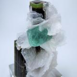 Fluorite, elbaite, albite
Stak Nala, Haramosh Mts., Skardu District, Baltistan, Gilgit-Baltistan, Pakistan
60 mm x 41 mm (Author: Carles Millan)