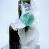 Fluorite, elbaite, albite
Stak Nala, Haramosh Mts., Skardu District, Baltistan, Gilgit-Baltistan, Pakistan
60 mm x 41 mm (Author: Carles Millan)