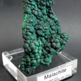 Malachite
Mashamba West mine, Kolwezi District, Katanga Copper Crescent, Katanga, Democratic Republic of Congo, Africa.
11 x 8 x 4 cm; 473 gram (Author: Louis Friend)