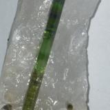 Elbaita (variedad Verdelita)
Minas Gerais, Brasil
Muestra de 9 cm x 3,5 cm
Cristal de Elbaita de 7 cm x 0,6 cm. (Autor: Rafael varela olveira)