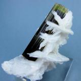 Elbaite, albite
Stak Nala, Haramosh Mts., Skardu District, Baltistan, Gilgit-Baltistan, Pakistan
79 mm x 48 mm

Back view (Author: Carles Millan)