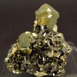 Pyrite on Enargite
Butte, Silver Bow County, Montana, USA
Specimen size: 3.5 × 3.3 × 2 cm
Mined about 1955
Former collection of Folch duplicates
Photo: Reference Specimens (Author: Jordi Fabre)