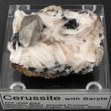 Cerussite with Baryte on Hematite
ACF mine area, Mibladen, Midelt, Khenifra Province, Meknes-Tafilalet Region, Morocco, Africa.
7 x 5 x 4 cm; 200 gram (Author: Louis Friend)