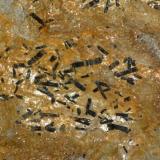 Turmalina, variedad Chorlo
Minas de San Finx, Vilacoba, Lousame, A Coruña, Galicia, España
Encuadre 12 cm x 9 cm (Autor: Rafael varela olveira)