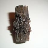 Aragonito negro
Luzón, Guadalajara, Castilla-La Mancha, España
3.8 x 2.1 x 1.9 cm
Este ejemplar le conseguí el domingo pasado, generalmente aparecen piezas muy pequeñas, esta es la más grande. (Autor: Daniel Olivares)