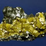 Andradite
Huanggangliang Iron Mine, Kèshíkèténg Qí, Chifeng, Inner Mongolia A.R., China
106 x 67 x 26 mm
This unusual specimen consists of an early generation of lustrous olive green Andradite crystals to 11 mm partly covered by a thin secondary
growth of golden Andradite. It is in pristine condition and was the finest piece I saw in Tuscon in 2012. (Author: GneissWare)