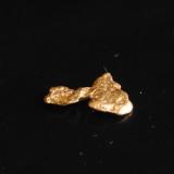 Oro
Australia
Medidas pieza: 0,9x0,7x0,1 cm (Autor: Sergio Pequeño)