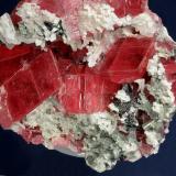 Rhodochrosite with Apatite
Sweet Home Mine, Alma District, Buckskin Gulch, Park County, Colorado, USA
72 x 70 x 32 mm
close up of Apatite crystals to 6 mm (Author: GneissWare)