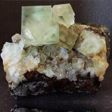 Fluorite, quartz
West Pasture Mine, Stanhope, Weardale, Co Durham, UK.
Fluorite to 11mm, specimen 47 x 44 mm (Author: nurbo)