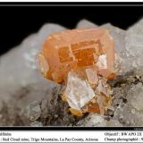 Wulfenite
Red Cloud Mine, Arizona, USA
fov 8 mm (Author: ploum)