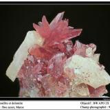 Roselite with Dolomite
Aghbar Mine, Bou Azzer, Maroc
fov 9 mm (Author: ploum)