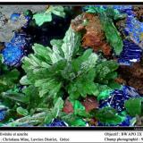 Olivenite and azurite
Christiana Mine, Laurion, Greece
fov 9 mm (Author: ploum)