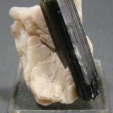 Elbaita sobre albita
Stak Nala, Baltistan, Pakistán.
Cristal 3,5 cm (Autor: nimfiara)