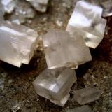 Halite
Neuhof-Ellers Potash Works, Neuhof, Fulda, Hesse, Germany
Largest crystals ~ 15 mm (Author: Tobi)