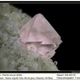 Fluorite on stilbite
Aiguille Verte, Chamonix, Massif du Mont-Blanc, France
fov 9 mm (Author: ploum)