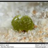 Mimetite and quartz
Mas Dieu, Gard, France
fov 7 mm (Author: ploum)