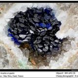 Azurite and quartz
Mas Dieu, Gard, France
fov 8 mm (Author: ploum)