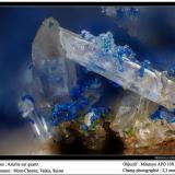 Azurite and quartz
Mont-Chemin, Valais, Switzerland
fov 2.3 mm (Author: ploum)