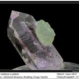 Amethyst and prehnite
Goboboseb, Erongo, Namibia
fov  45 mm (Author: ploum)