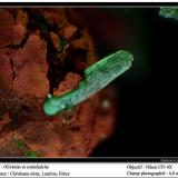 Olivenite with conichalcite
Christiana mine, Laurion, Greece
fov 4mm (Author: ploum)